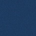 RAL 5003