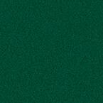 RAL 6005