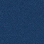 RAL 5003