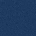 RAL 5003
