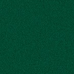 RAL 6005